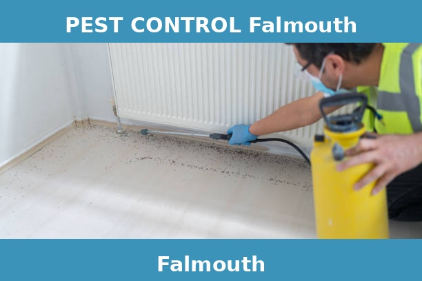 PEST CONTROL Falmouth